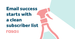clean subscriber list with rasa.io