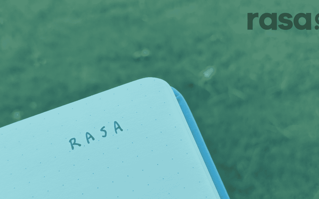 How Much Does rasa.io Cost for Enterprise-Level Users? The 9 Factors That Influence Price